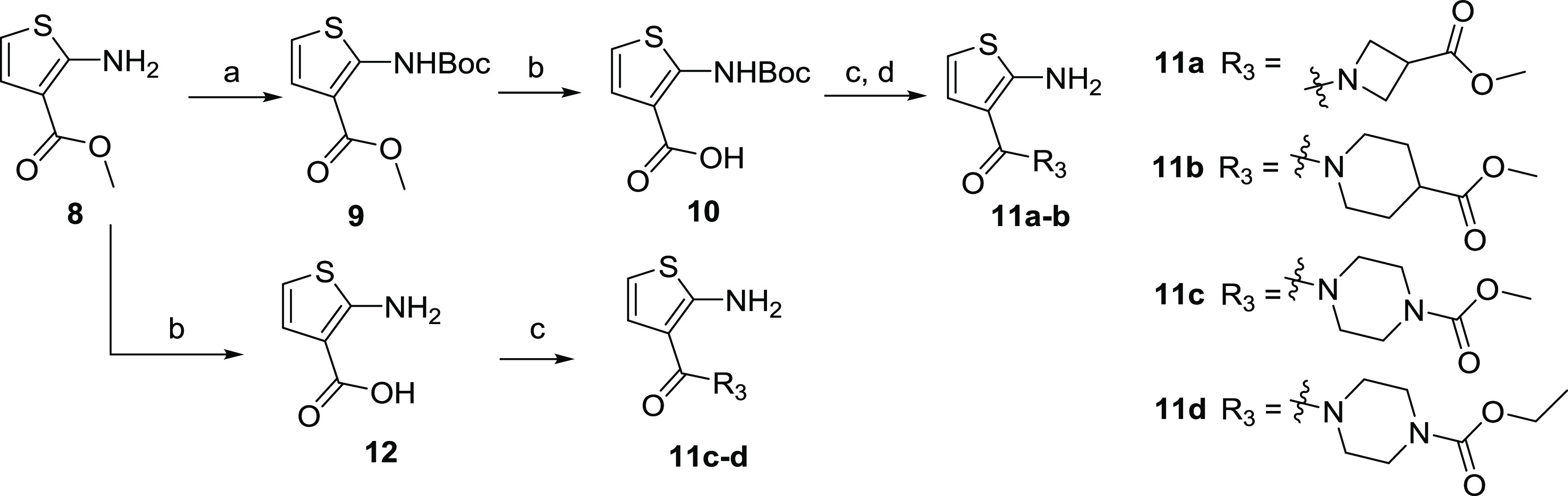 Scheme 3