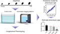 graphic file with name ACEL-21-e13571-g002.jpg