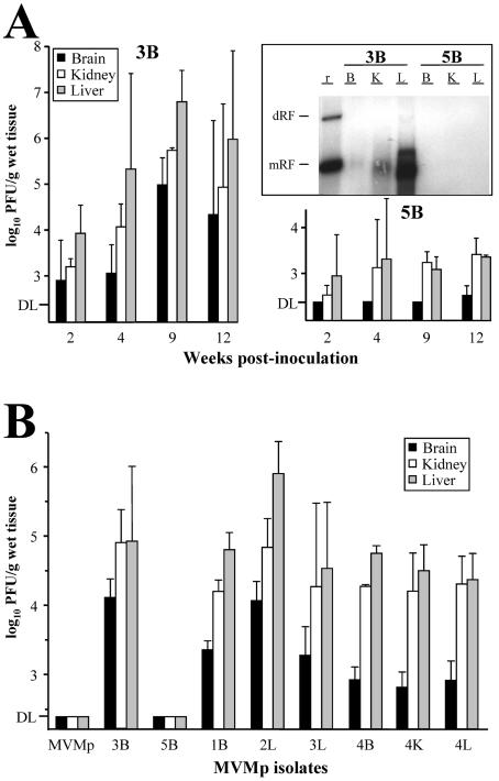 FIG. 3.