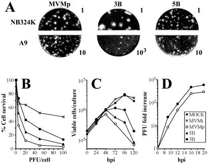 FIG. 2.