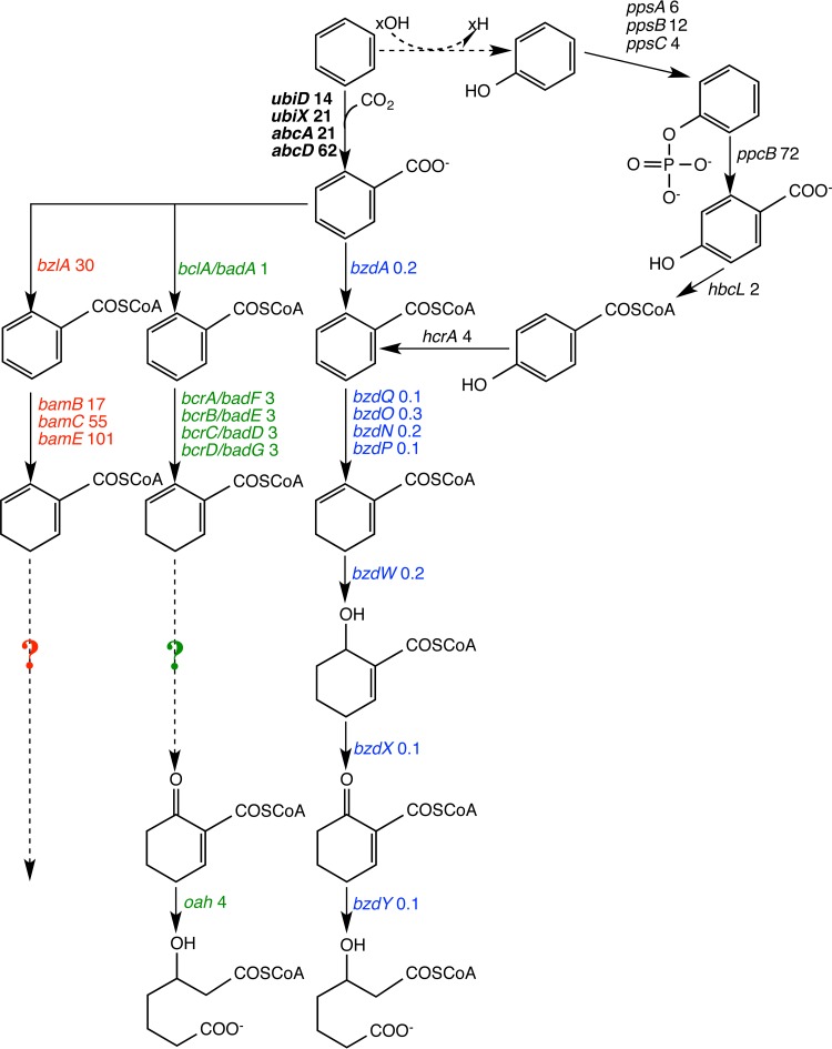 FIG 6