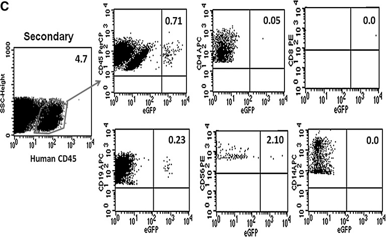 FIG. 8.