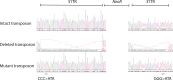 Figure 3—figure supplement 3.