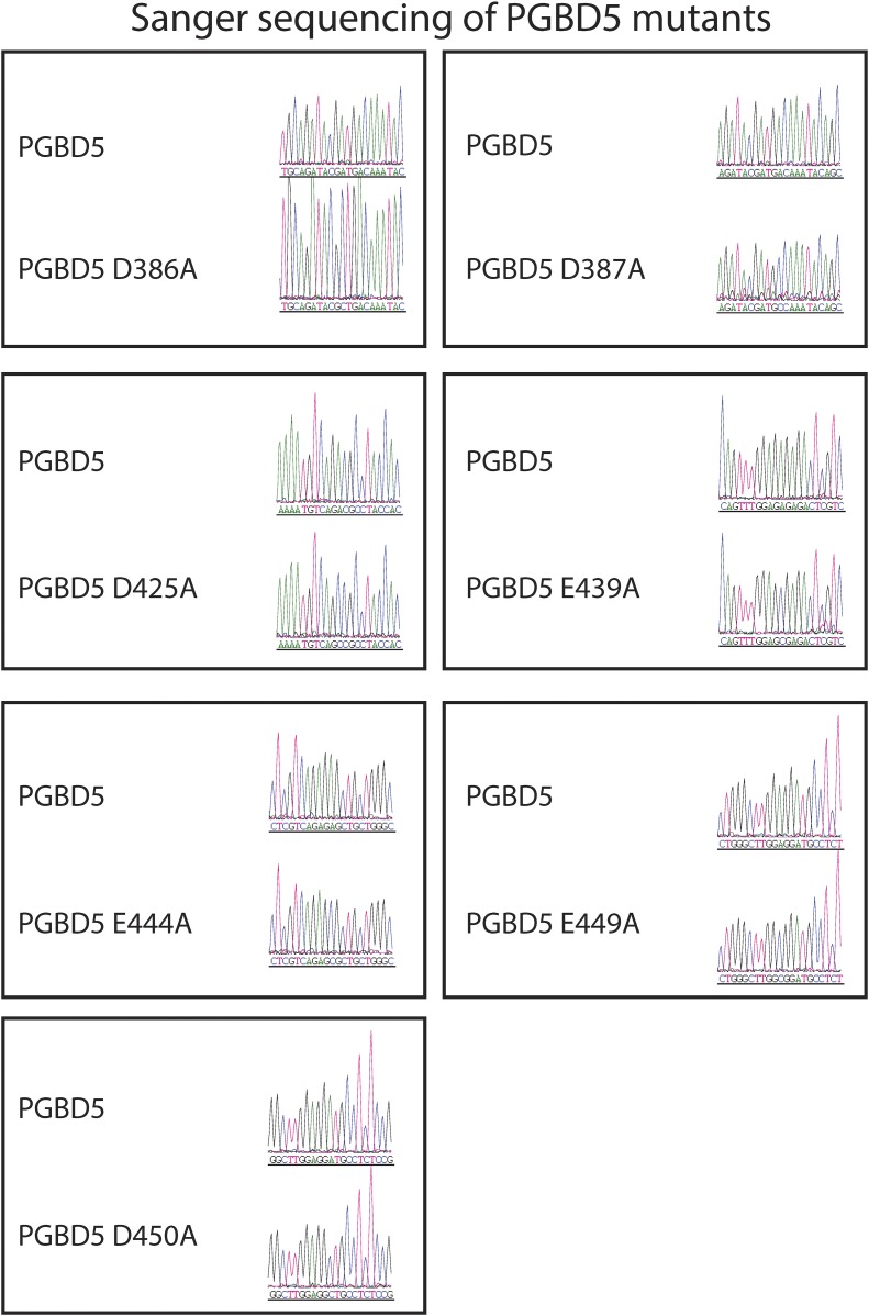 Figure 7—figure supplement 3.