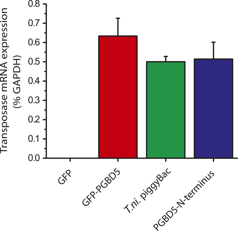 Figure 3—figure supplement 2.