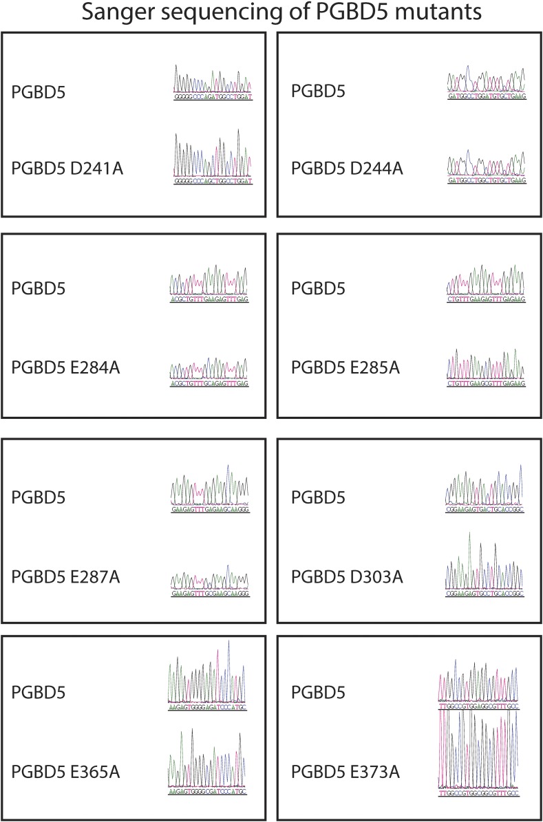 Figure 7—figure supplement 2.