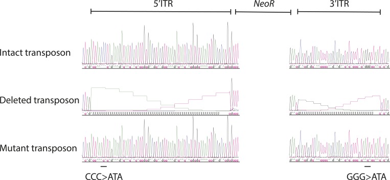 Figure 3—figure supplement 3.