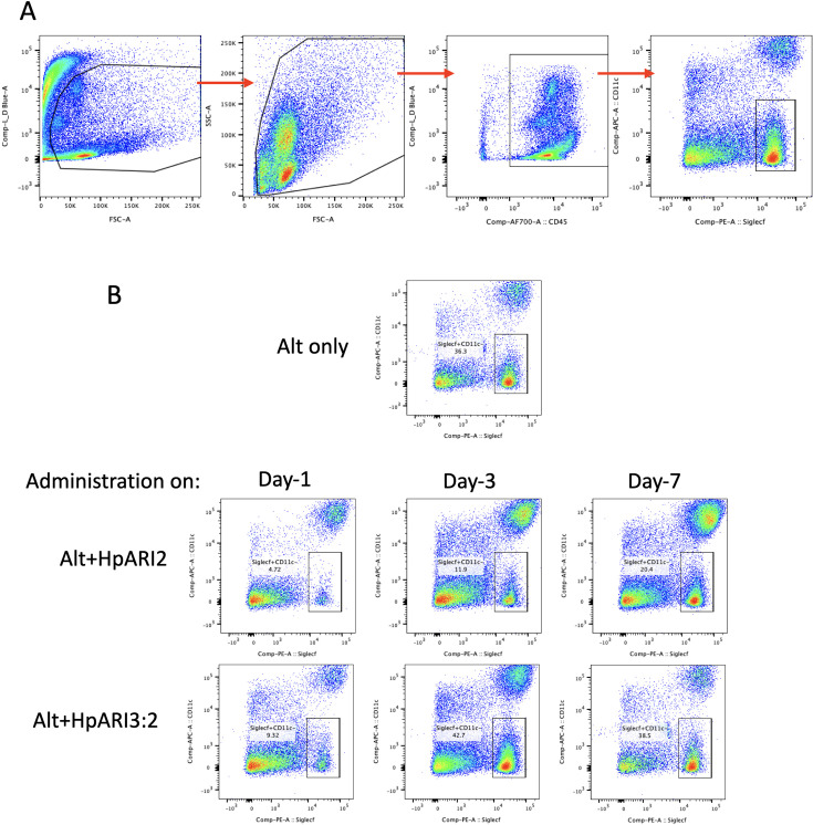 Figure 3—figure supplement 1.