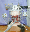 Fig. 2