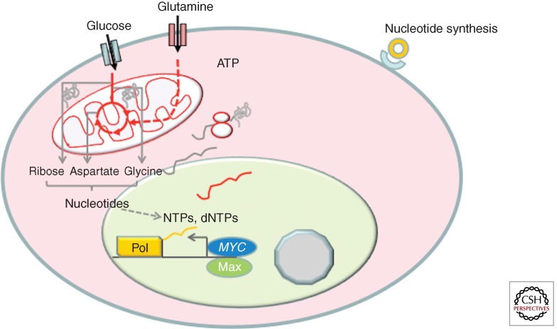 Figure 3.