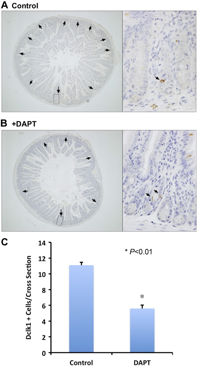 Fig. 5.