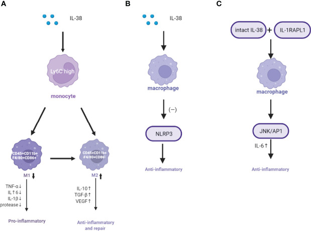 Figure 2