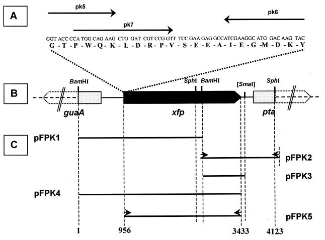 FIG. 1