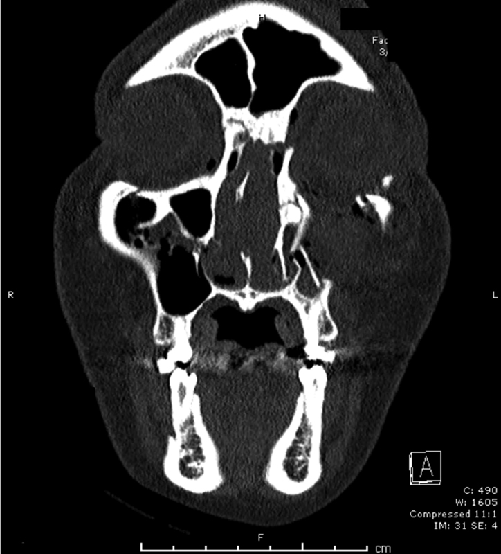 Fig. 8