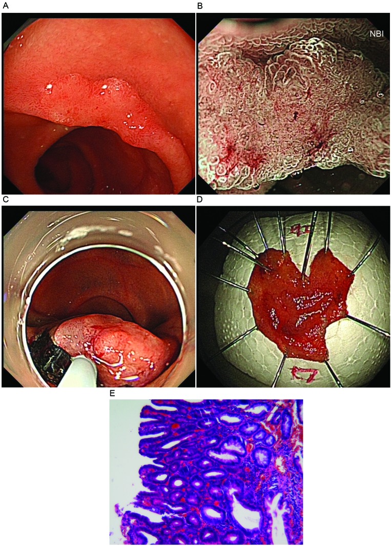 Figure 1.