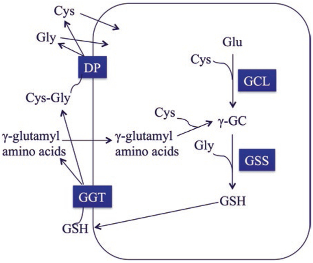 Fig. 3.1