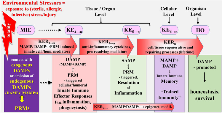 Fig. 4