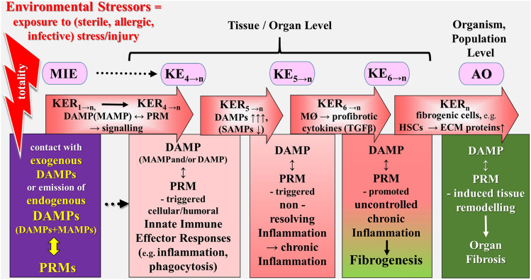 Fig. 7