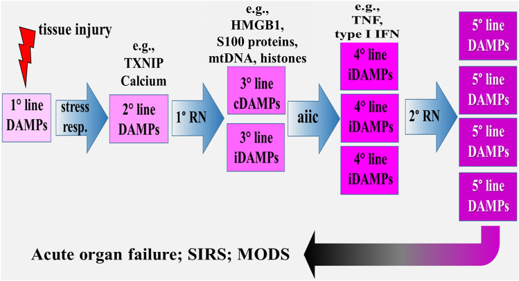 Fig. 1