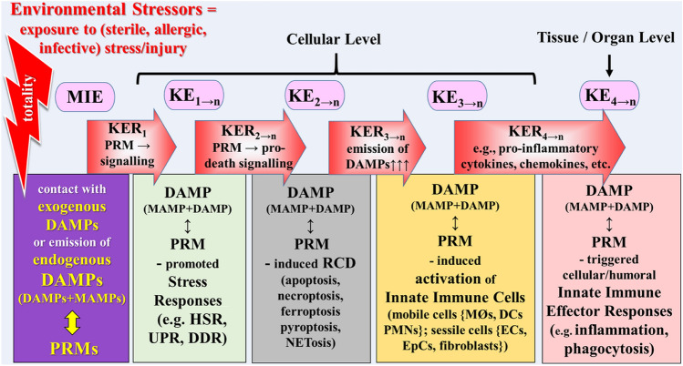 Fig. 3