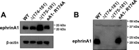 Fig 8