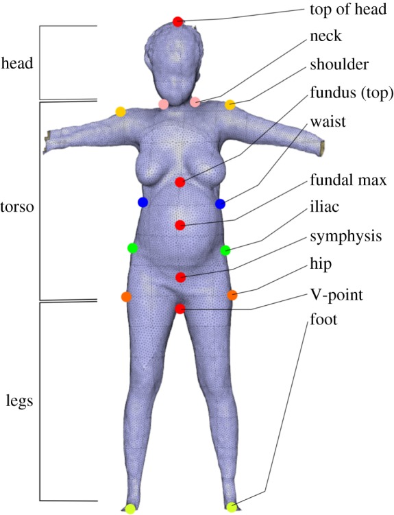 Figure 2.