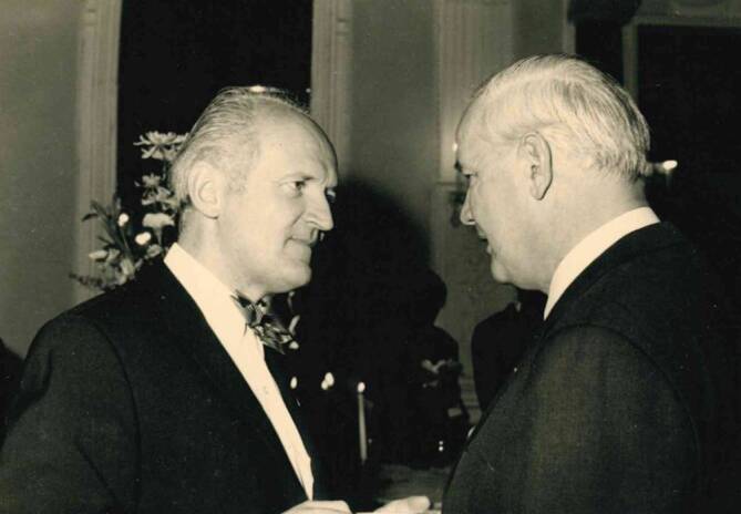 graphic file with name 194_2021_520_Fig11_HTML.jpg