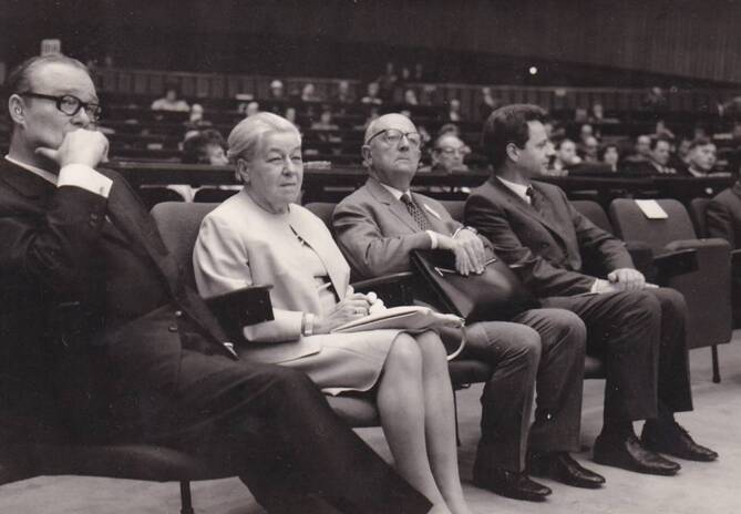 graphic file with name 194_2021_520_Fig13_HTML.jpg