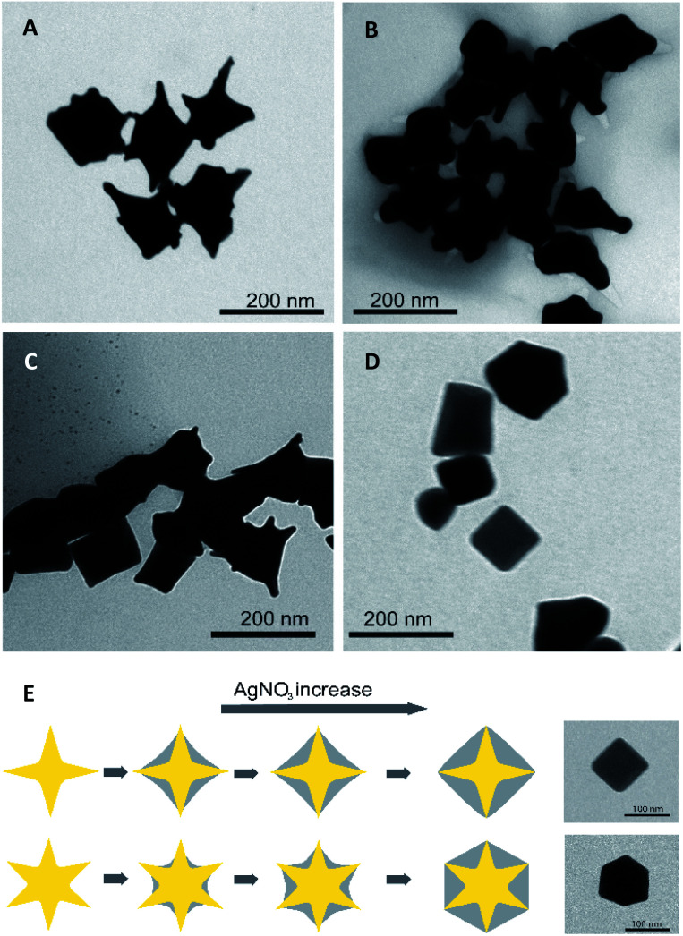 Fig. 6