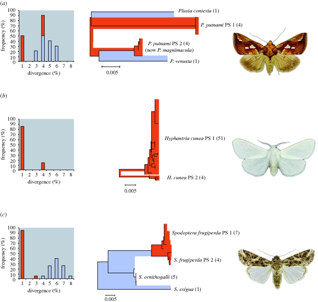 Figure 2.