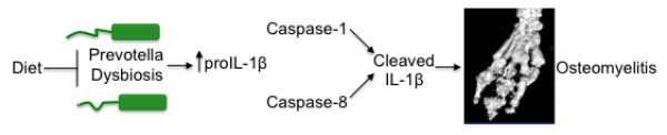 Extended Data Figure 10