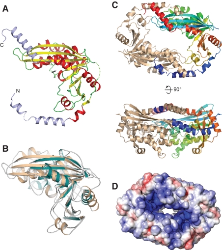 Figure 4.