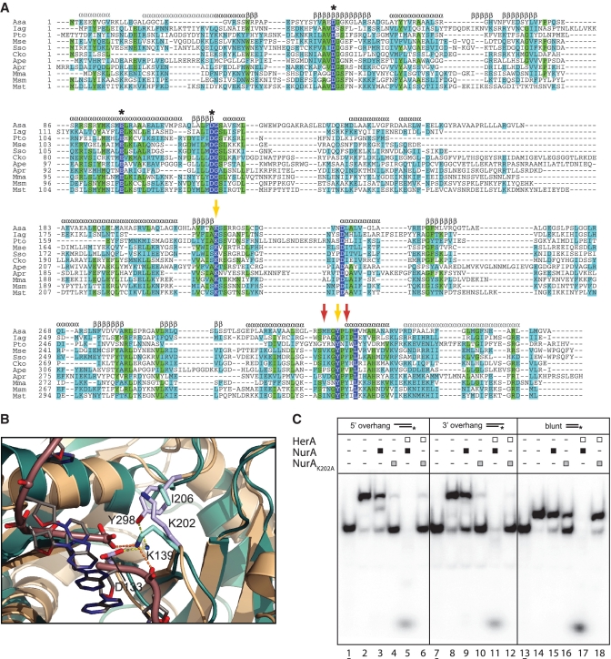 Figure 5.