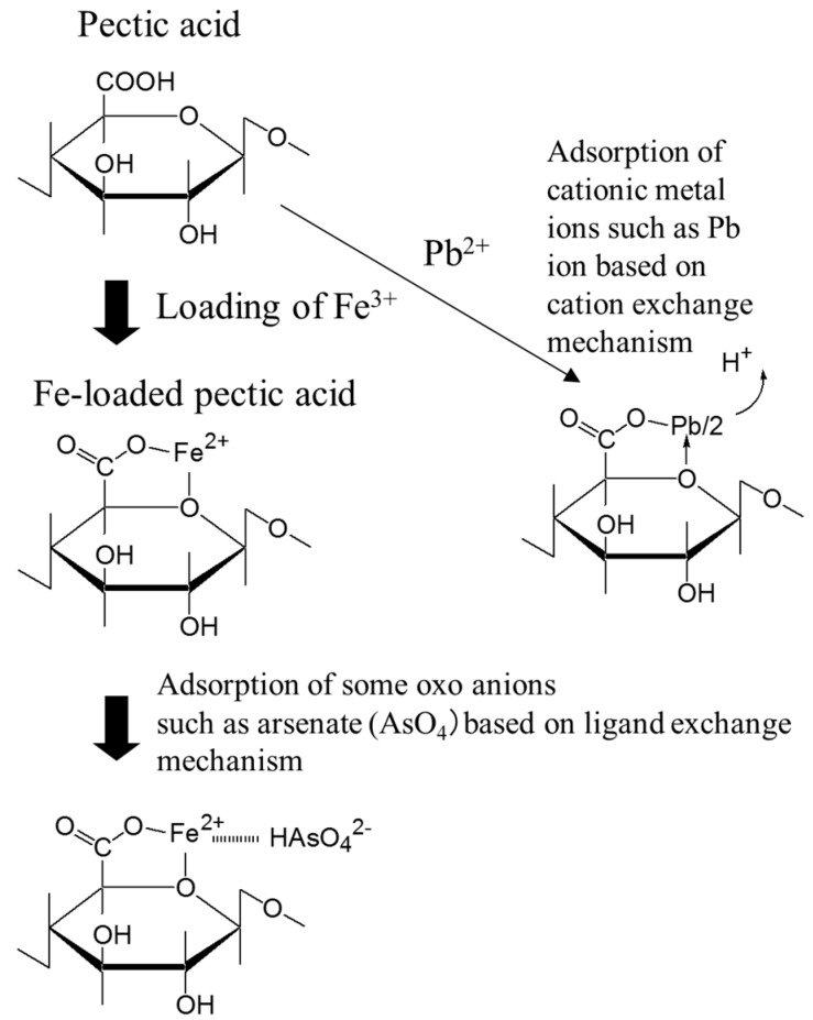 Scheme 7