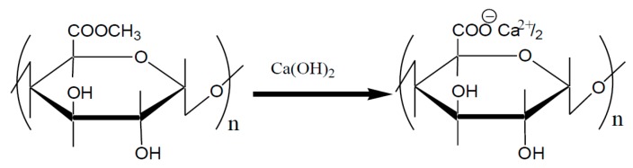 Scheme 8