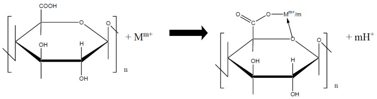 Scheme 6