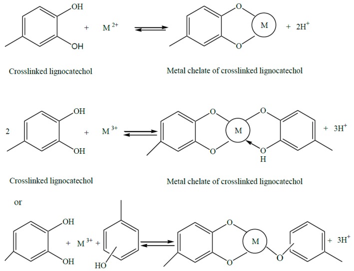 Scheme 3