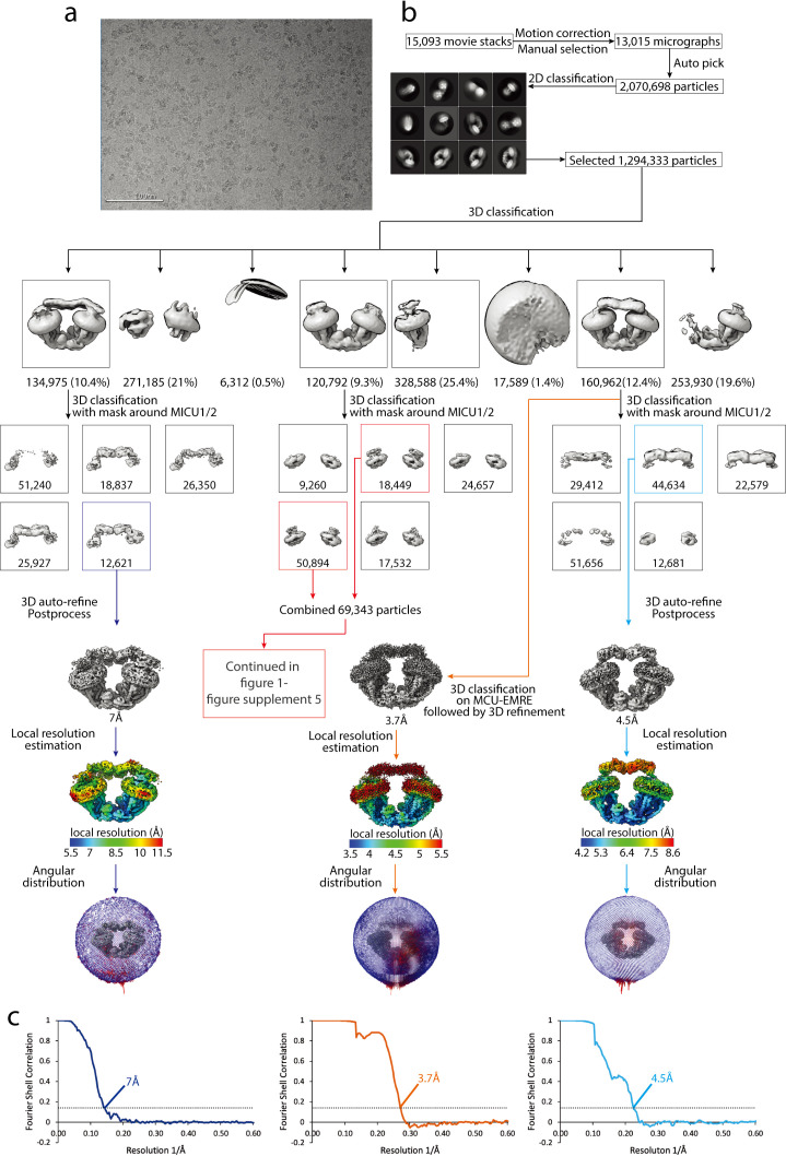 Figure 1—figure supplement 4.