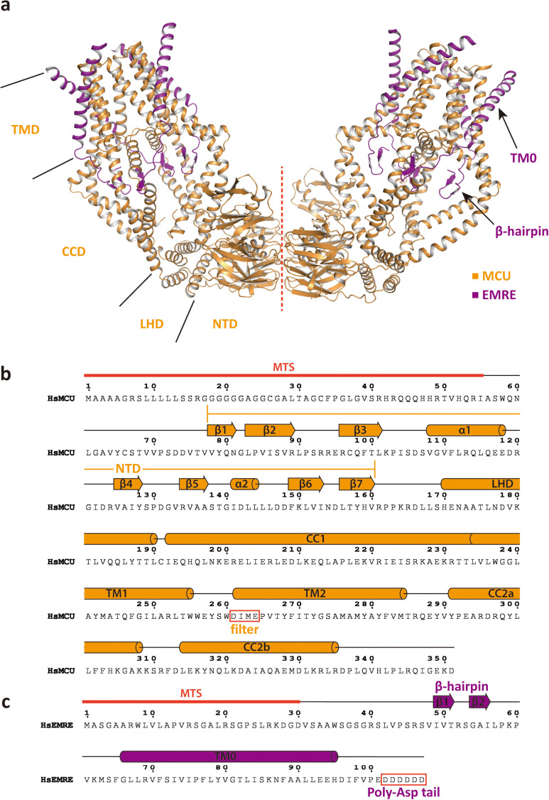 Figure 1—figure supplement 1.