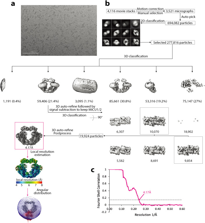 Figure 1—figure supplement 3.