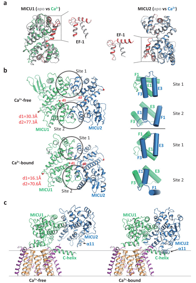 Figure 5.