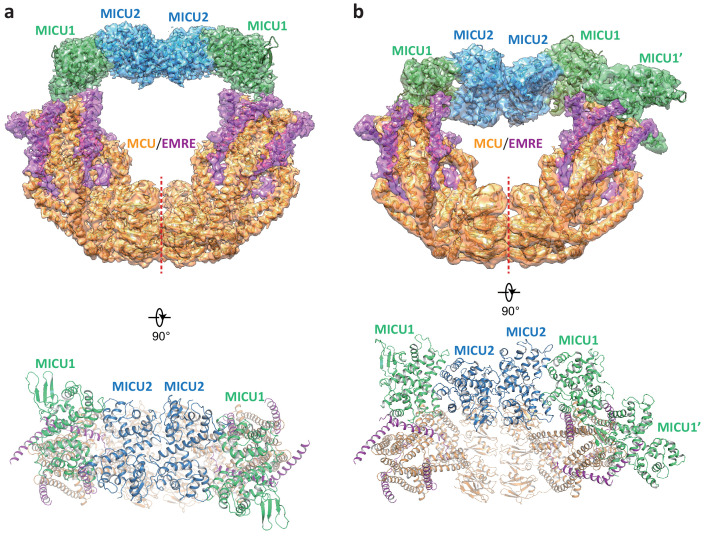 Figure 4.