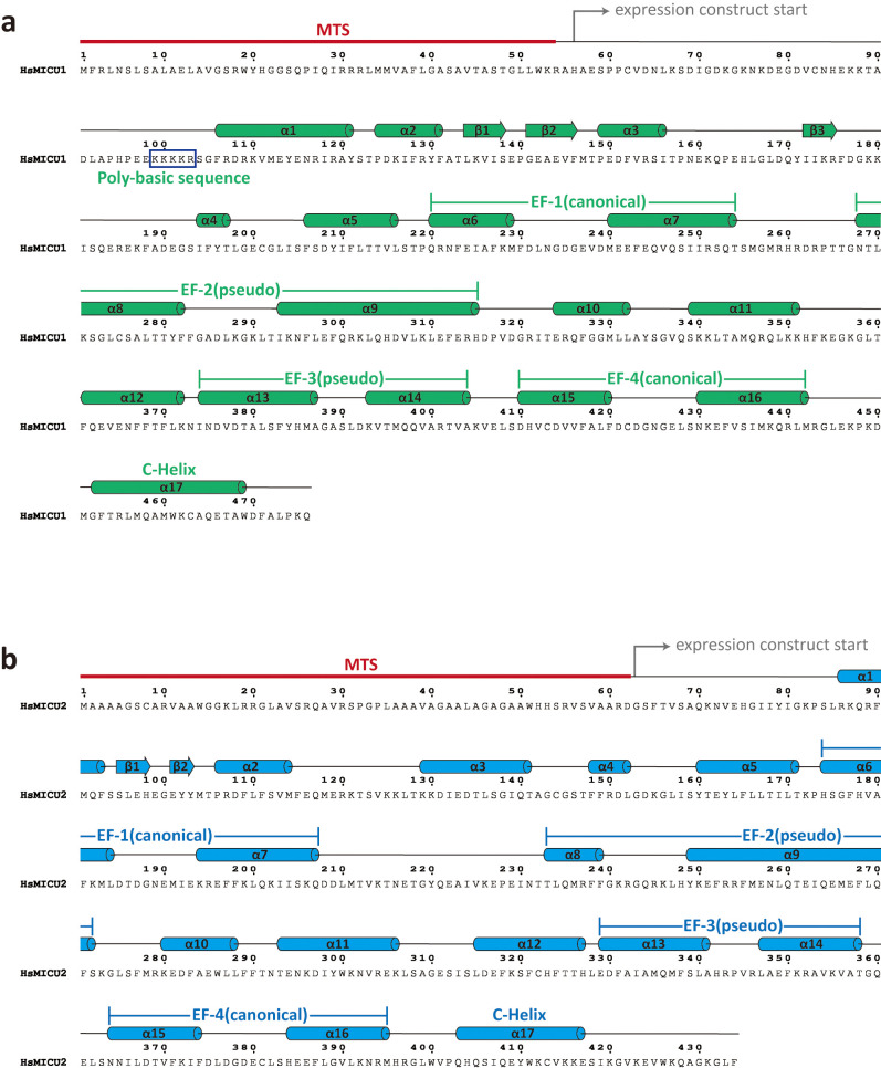 Figure 1—figure supplement 6.