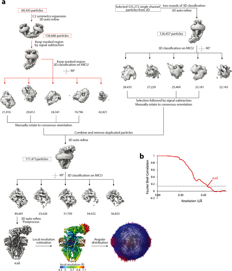 Figure 1—figure supplement 5.