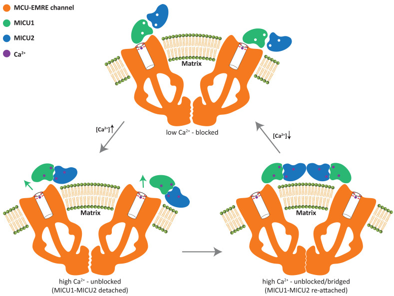 Figure 6.