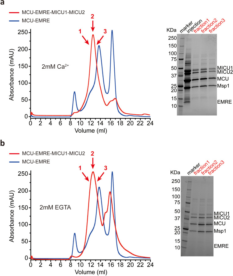 Figure 1—figure supplement 2.