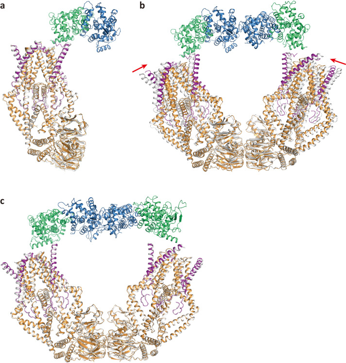 Figure 2—figure supplement 1.