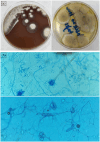 Figure 3.