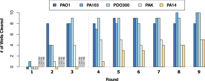 A figure presents a grouped bar graph showing directed evolution of phages using the Appelmans protocol over nine rounds for PAO1, PA103, PDO300, PAK, and PA14.