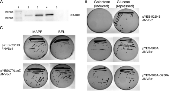 FIG. 3.